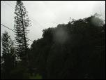 Click on one of the size names below to enlarge this image