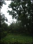 Click on one of the size names below to enlarge this image