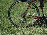  bike02.jpg 